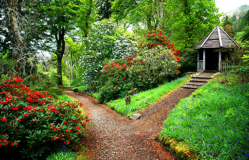 Ardkinglas Woodland Garden