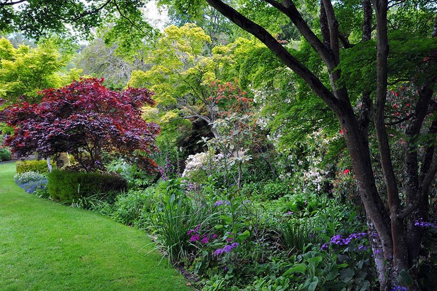 Tumblr Jardin Anglais