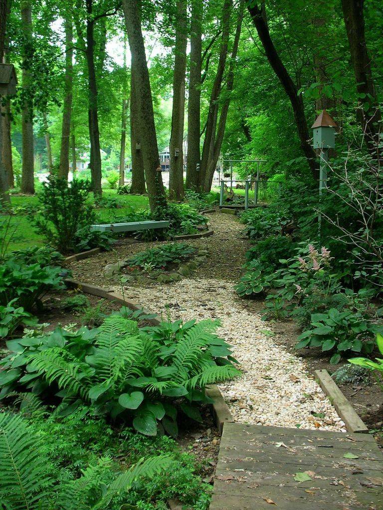 Beautiful Garden Path Walkways Ideas Woodland Garden Design