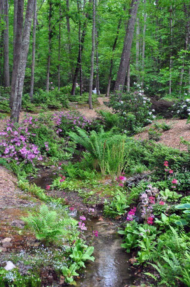 Woodland Garden Landscape Ideas