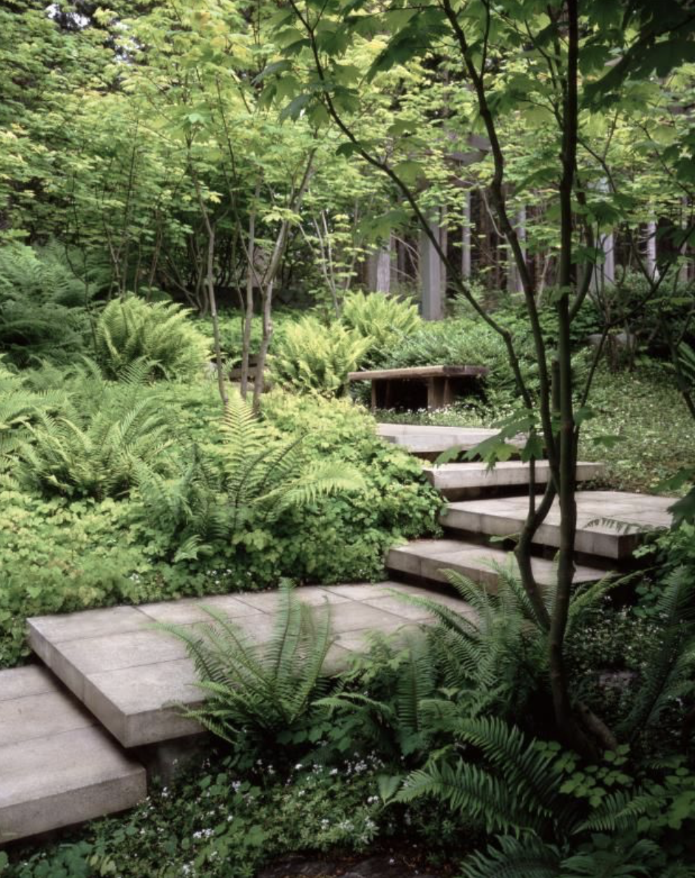 Woodland Garden Landscape Ideas