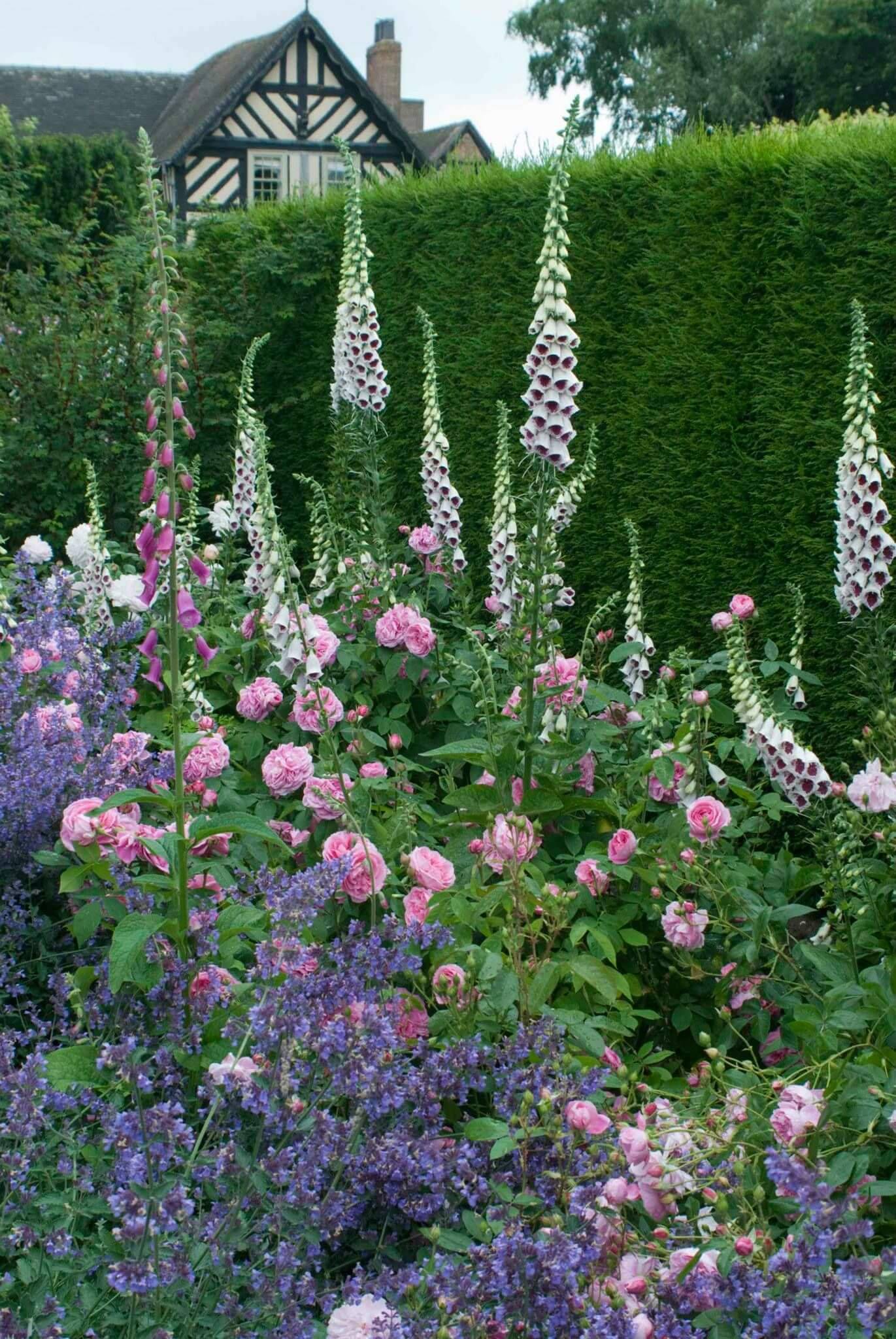 Beautiful Modern English Country Garden Design Ideas