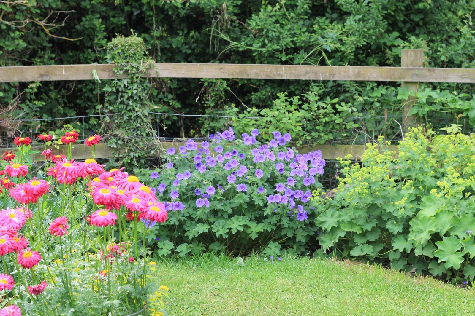 Lovely Cottage Garden Design Ideas
