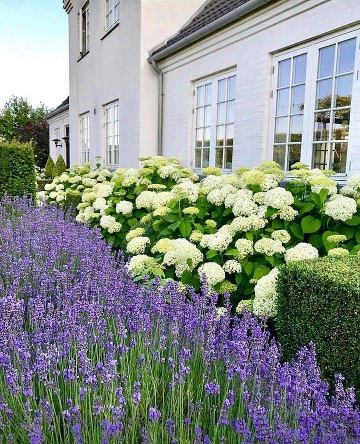 Lovely Cottage Garden Design Ideas