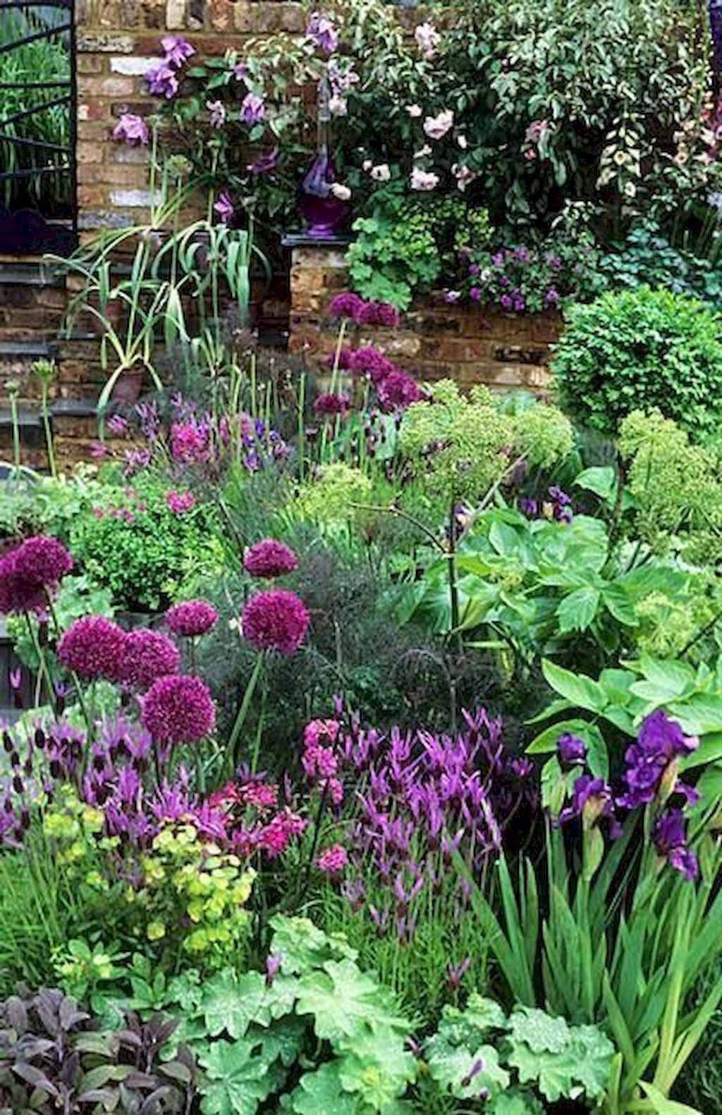 Full Sun Flower Bed Ideas Photograph