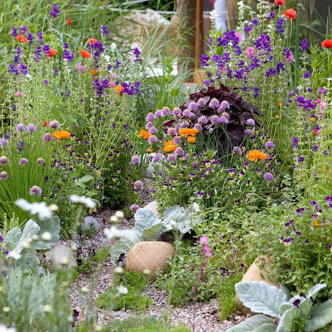 Full Sun Gardening Plans Landing Flower