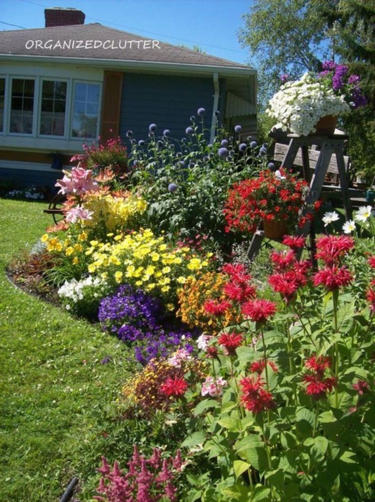 Full Sun Google Search Perennial Garden Design
