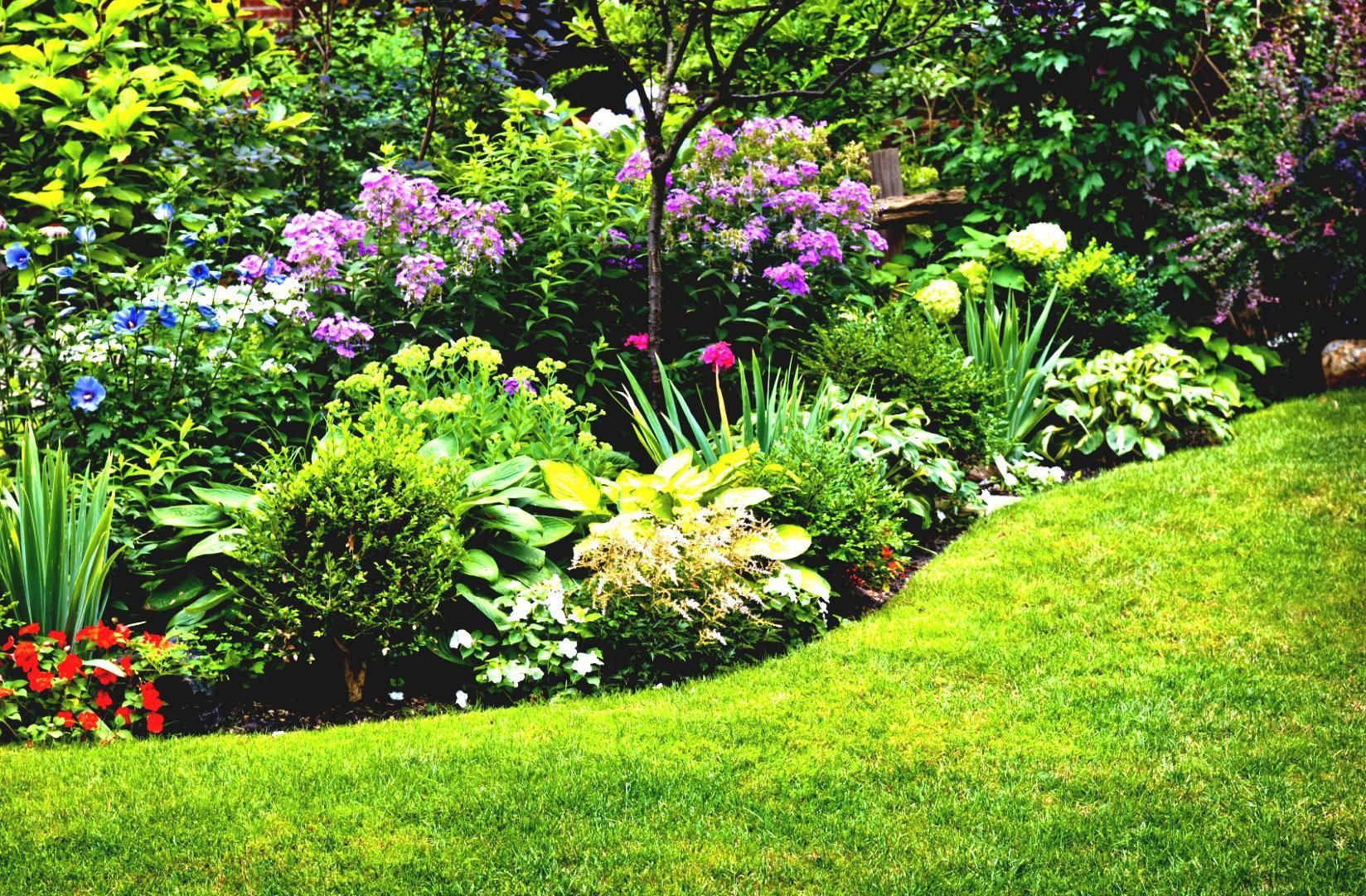 Top Impressive Sun Perennials Front Yard Ideas