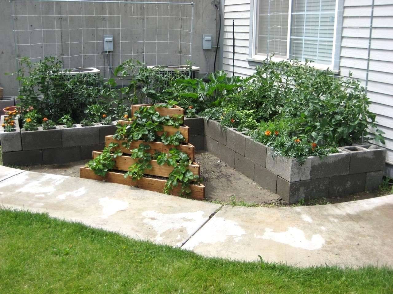 Cinder Block Raised Garden Bed