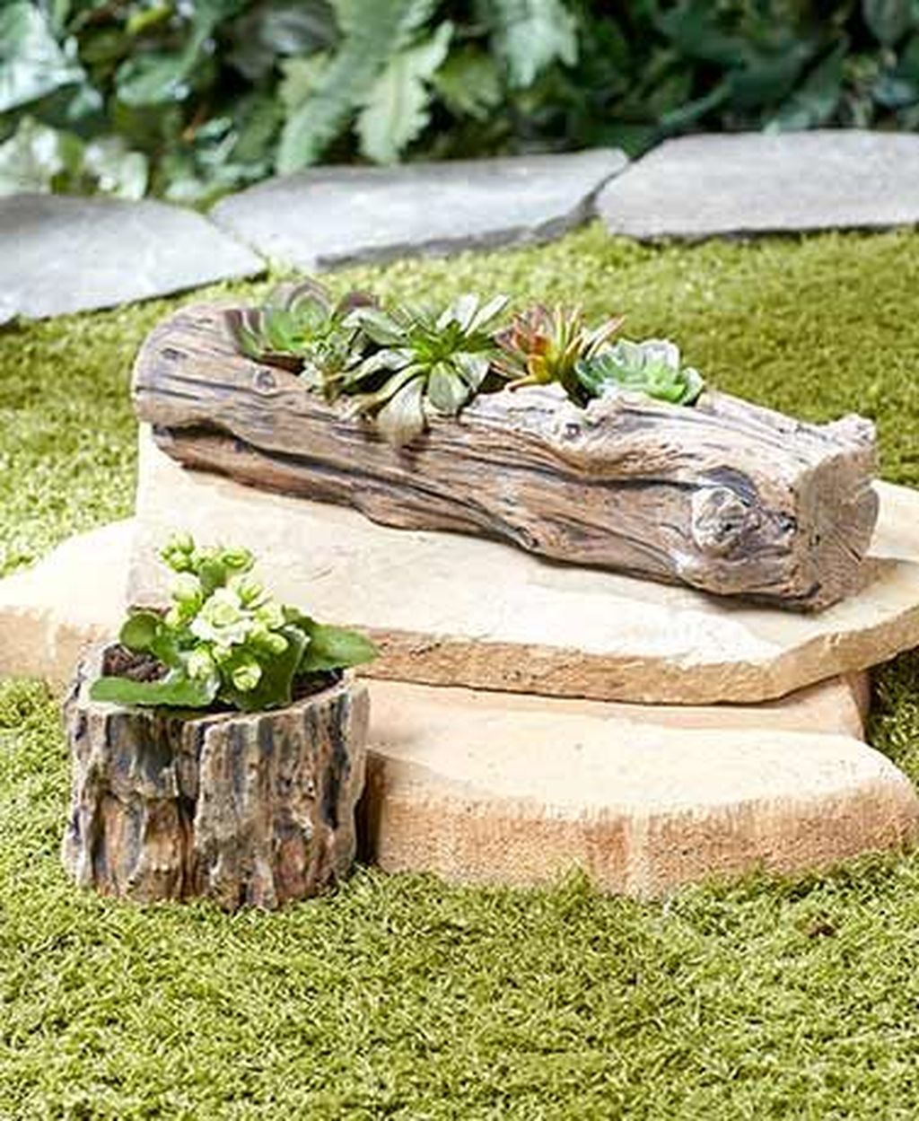 Beautiful Outdoor Succulent Planter Ideas Magzhouse