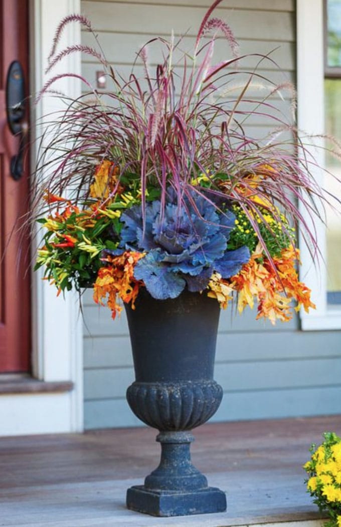 Container Gardening Ideas Quiet Corner