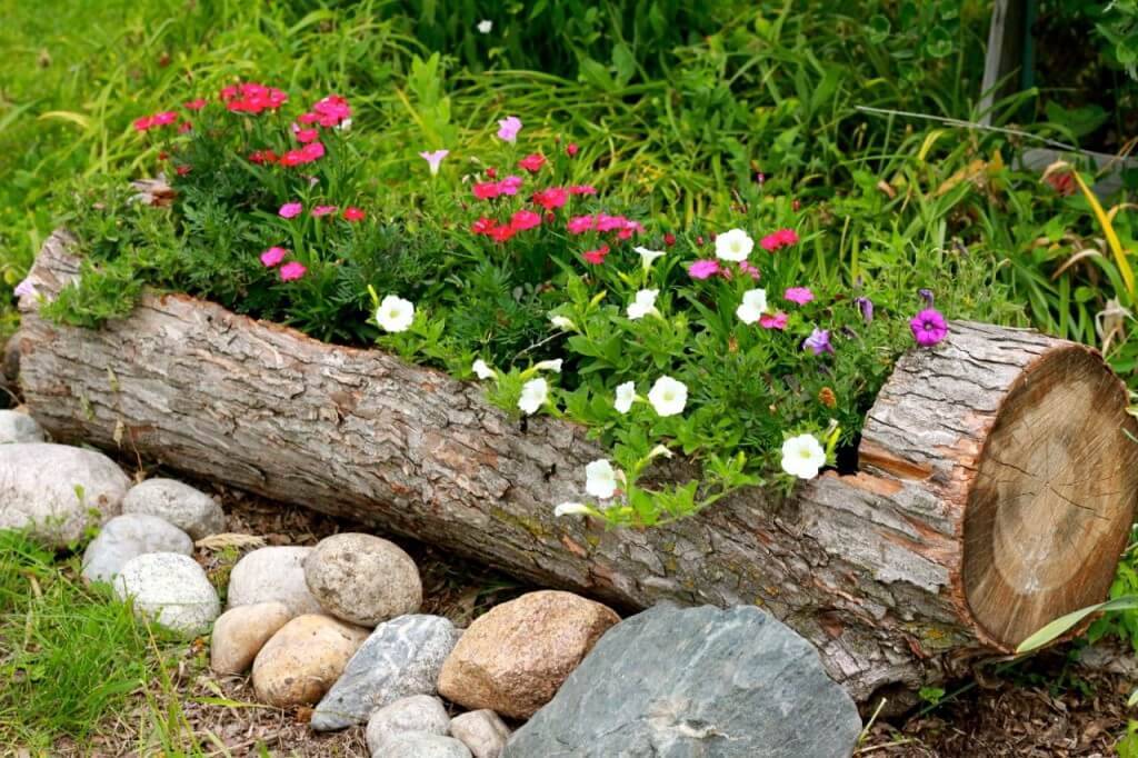 Unique Container Gardening Ideas