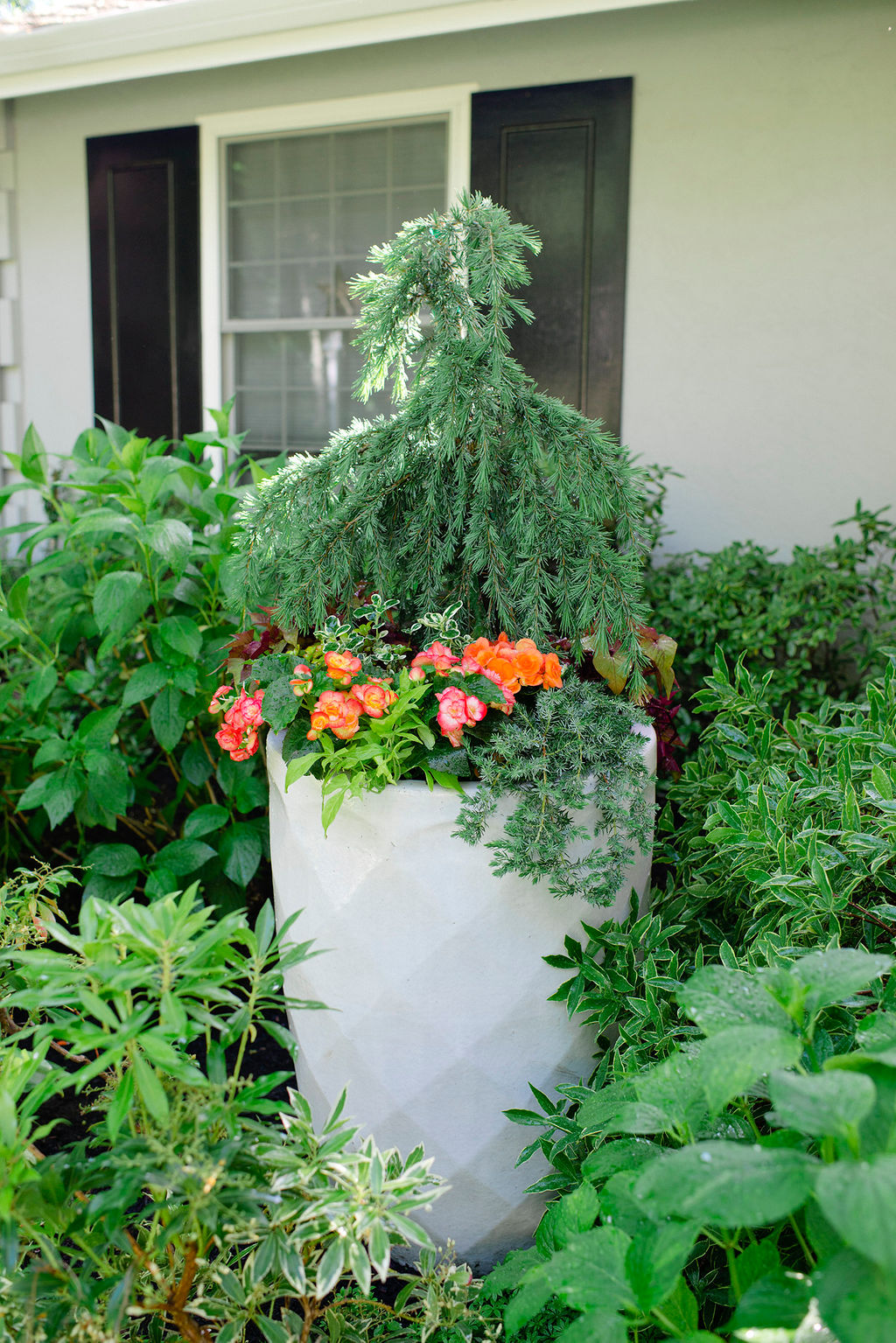 Garden Planting Sanctuary Home Decor