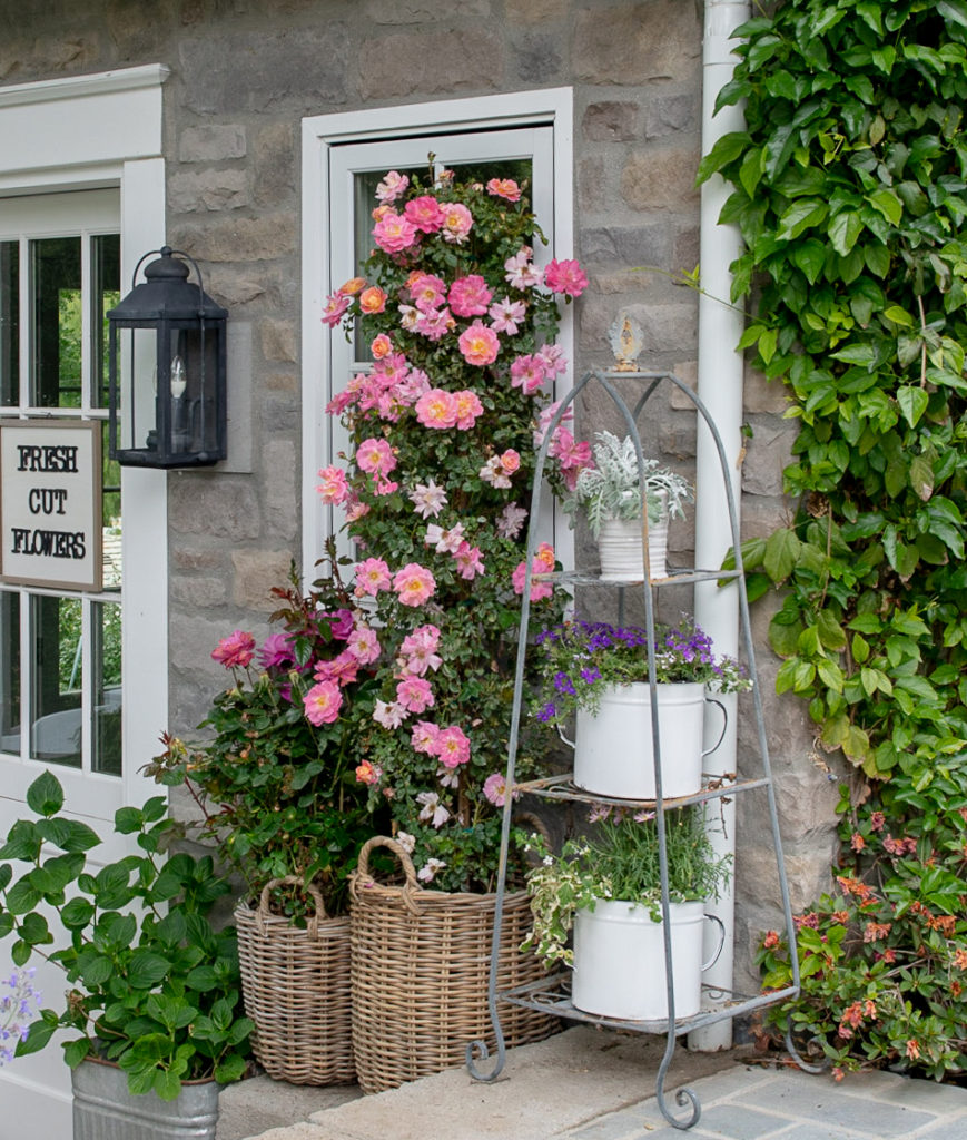 Container Gardening