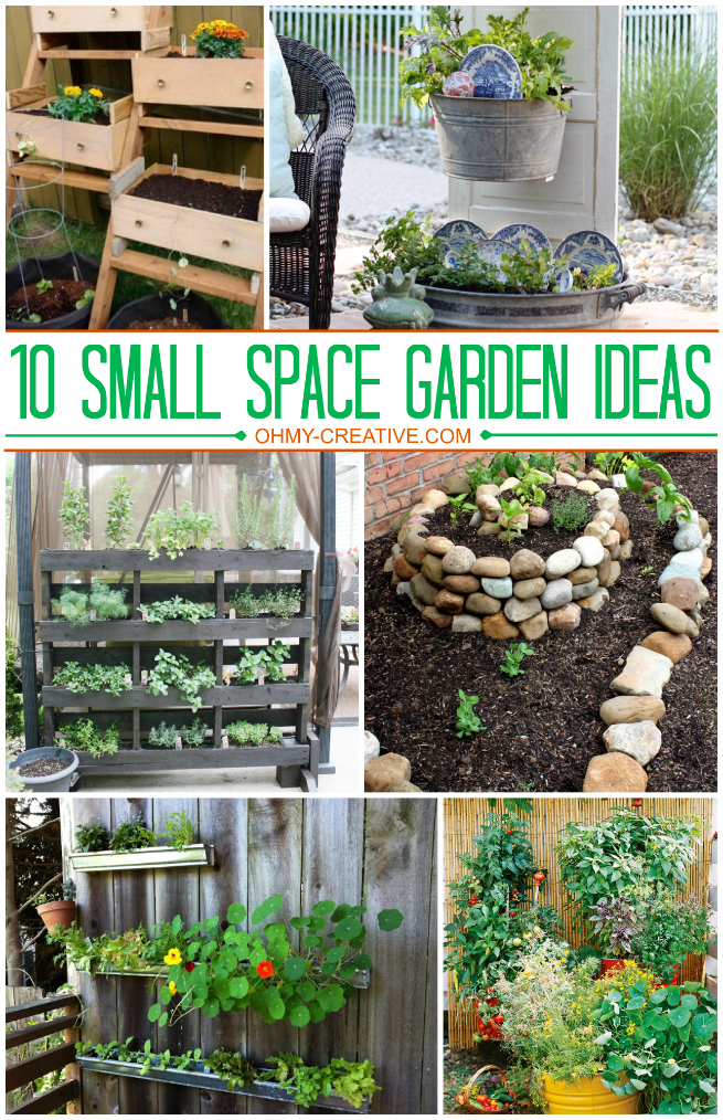 Diy Gardening Ideas