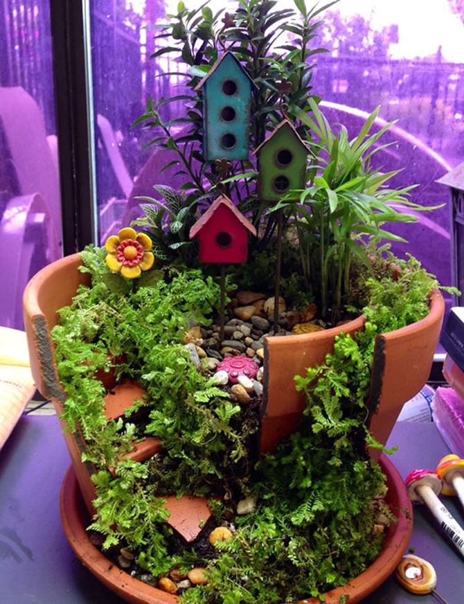 Diy Fairy Gardens