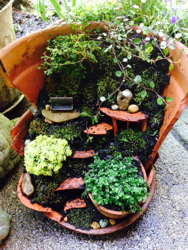 A Fairy Tale Garden