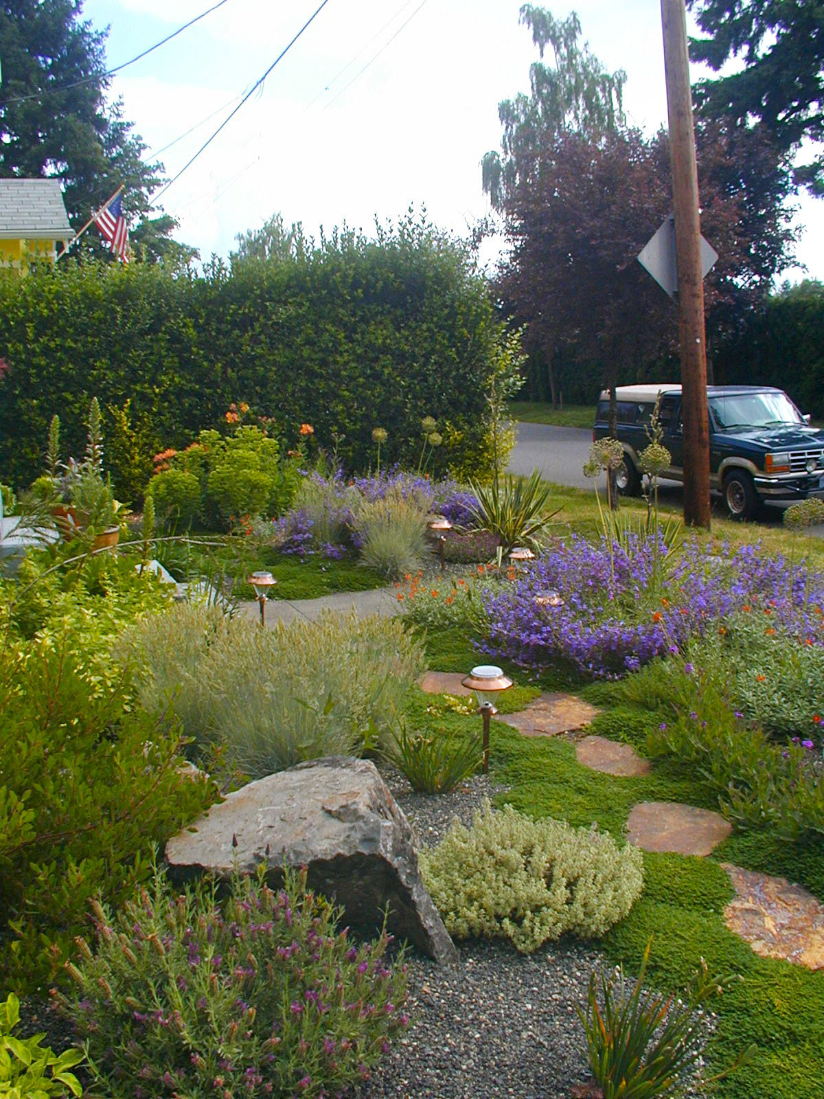 A Lowmaintenance Gravel Garden