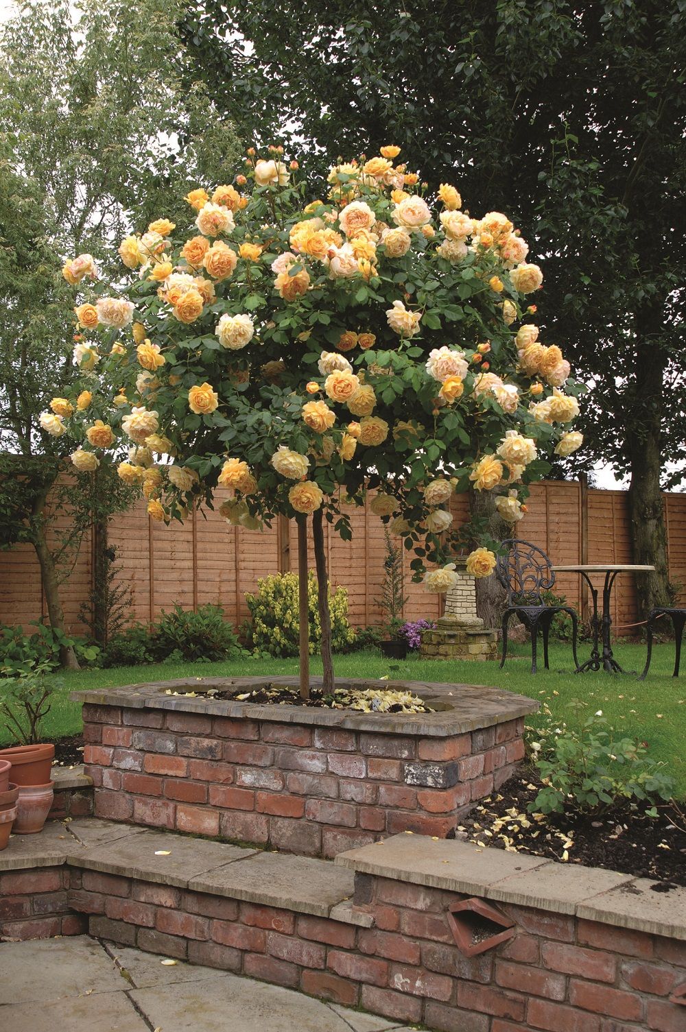 Beautiful Garden Flower Beds Home Design And Architecture Rose