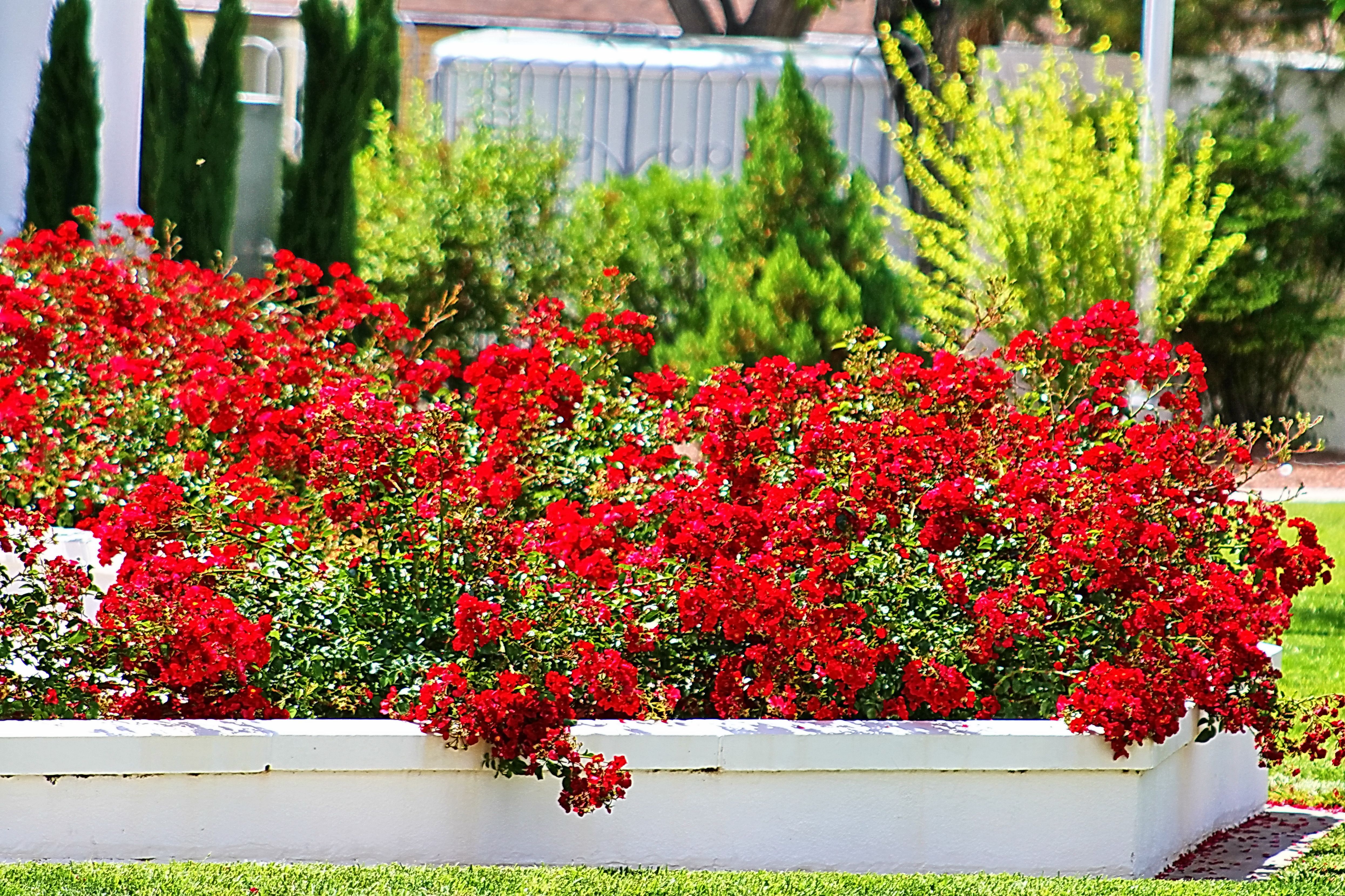 Four Creative Flower Bed Ideas