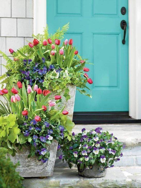 Most Beautiful Container Gardening Flowers Ideas