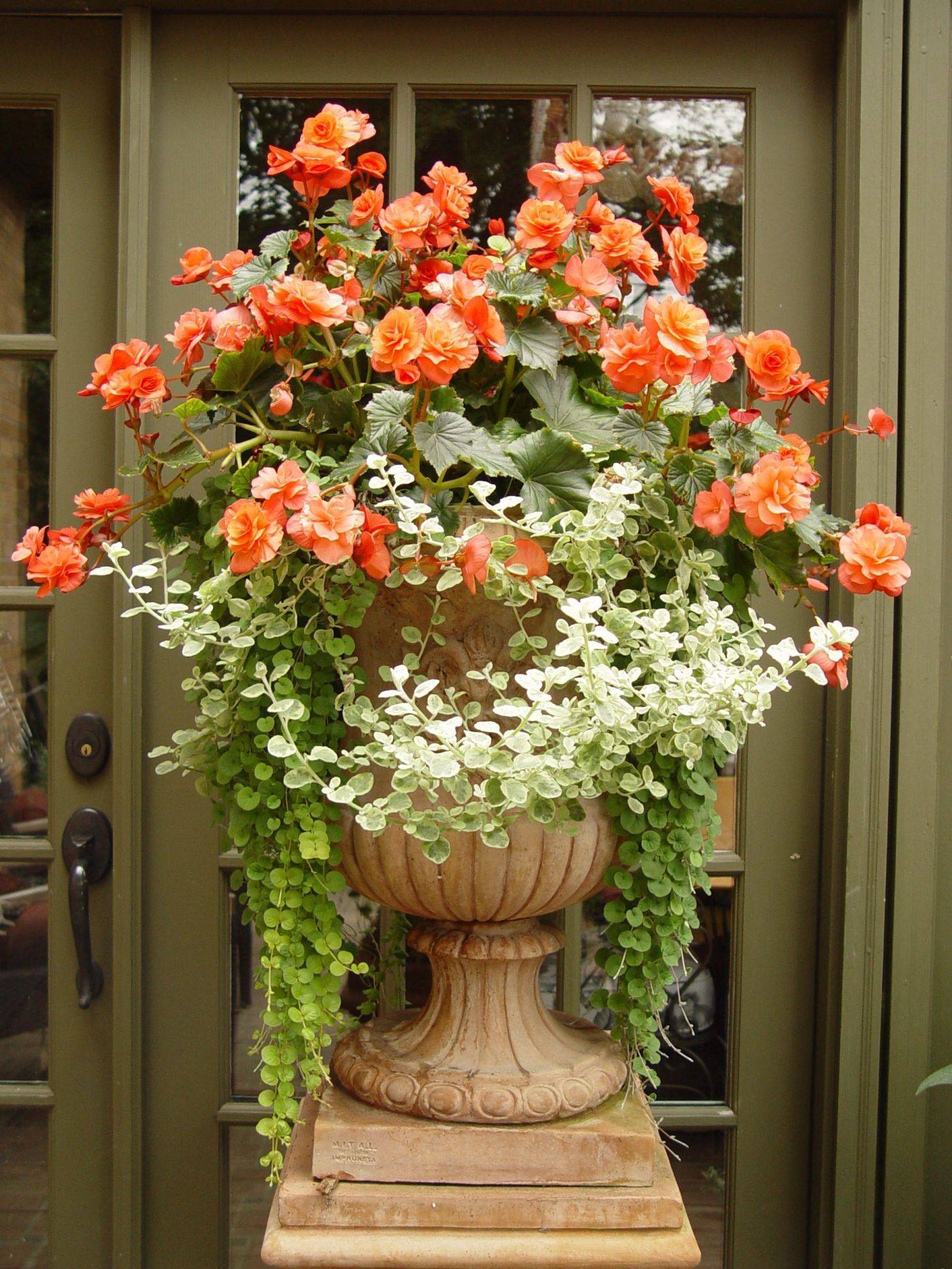 Summer Container Garden