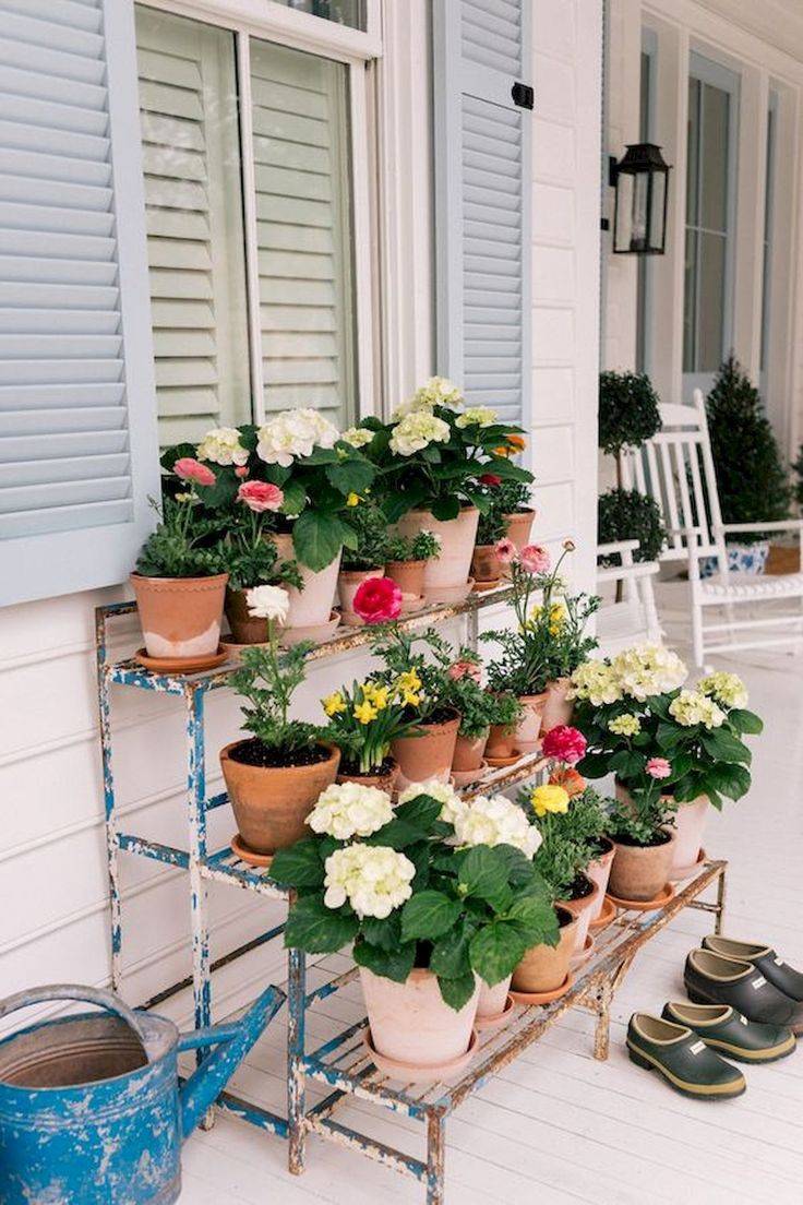 Summer Container Garden