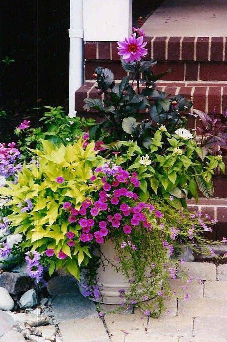 Fresh Spring Garden Ideas