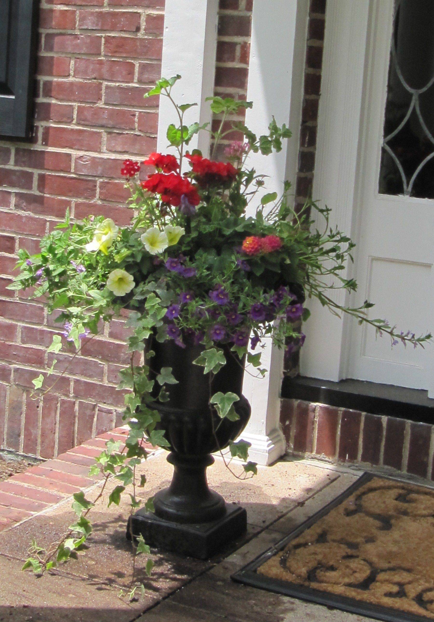 Fresh And Easy Summer Container Garden Flowers Ideas Decoradeas