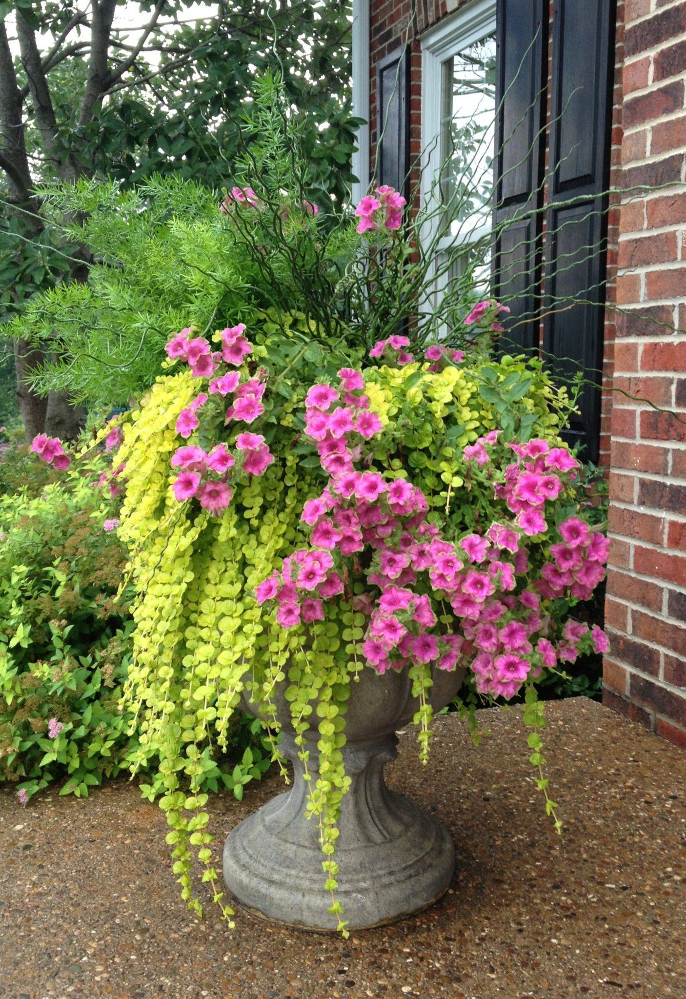 Beautiful Summer Container Garden Flowers Ideas Structhomecom