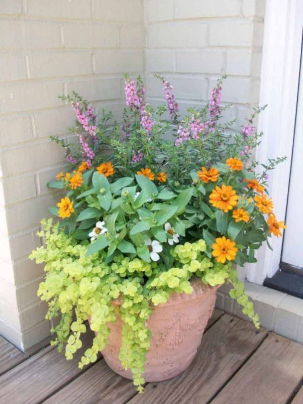 Amazing Front Door Container Gardening Ideas