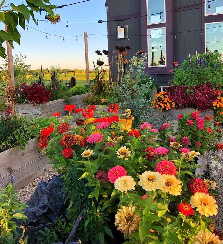 A Low Cost Simple Flower Garden