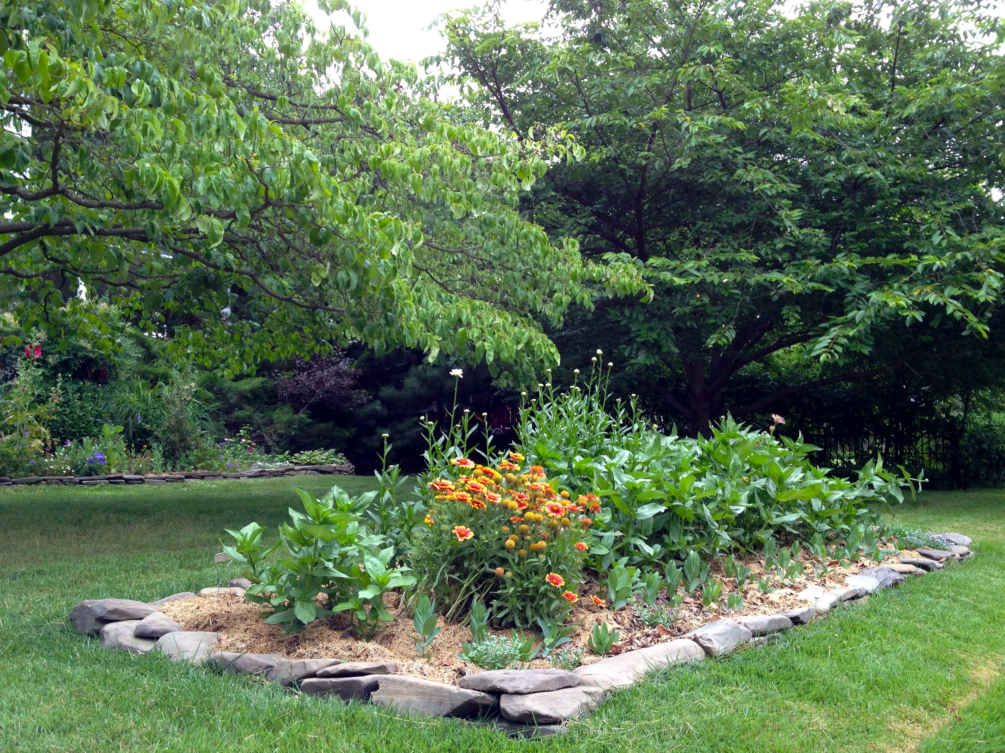 Whiskey Barrel Planter Flower Gardens