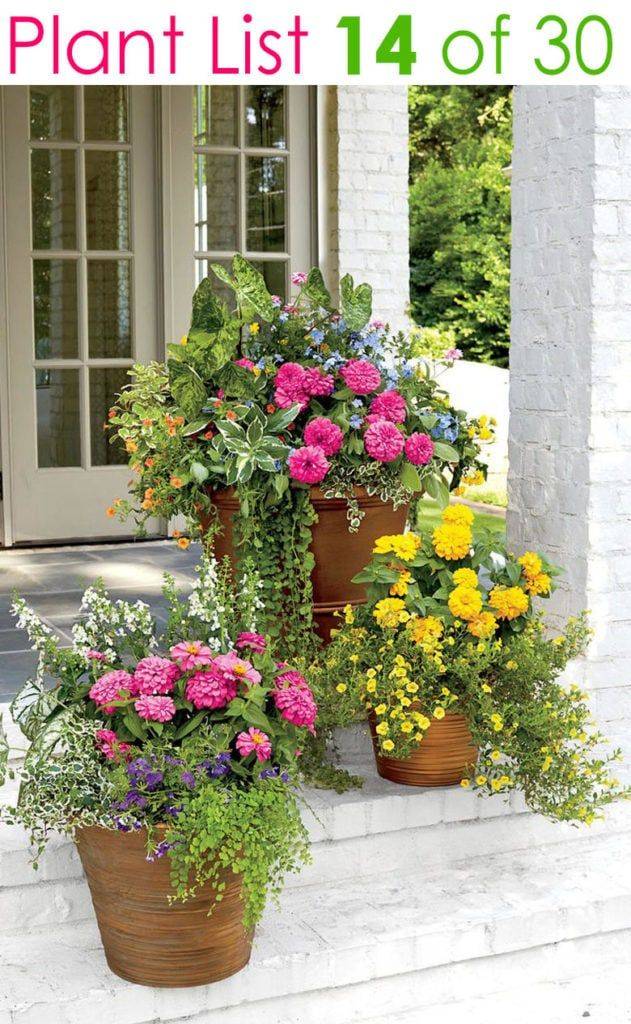 Easy And Fresh Spring Container Garden Flowers Ideas