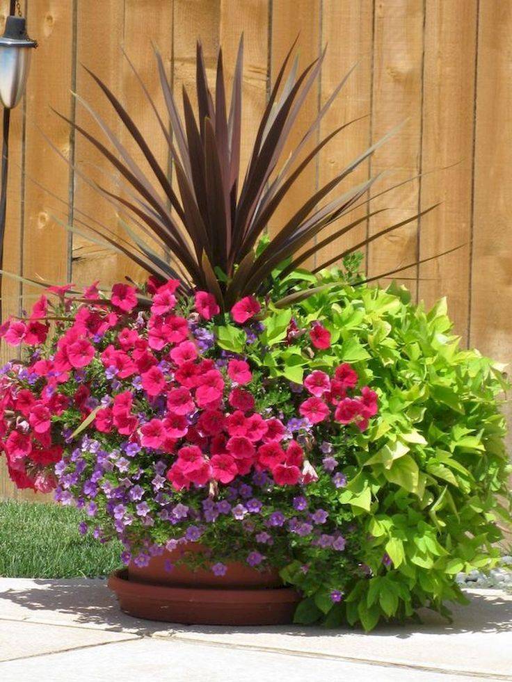 Easy And Fresh Spring Container Garden Flowers Ideas