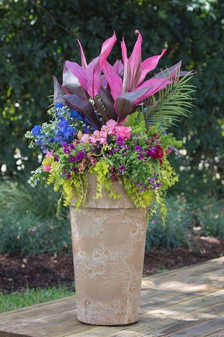 Beautiful Summer Container Garden Flowers Ideas Homixovercom