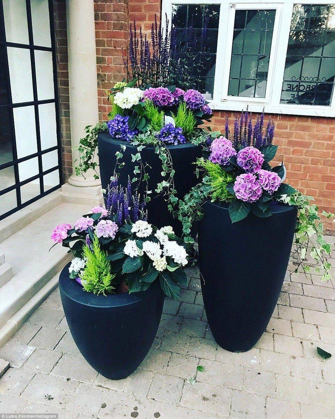 24 Tall Garden Flowers Ideas You Should Check SharonSable