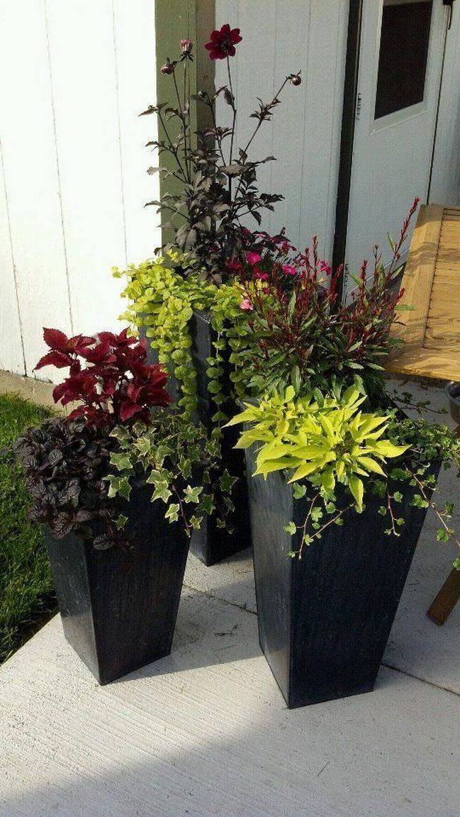 Colorful Mixed Pots Flower Gardening