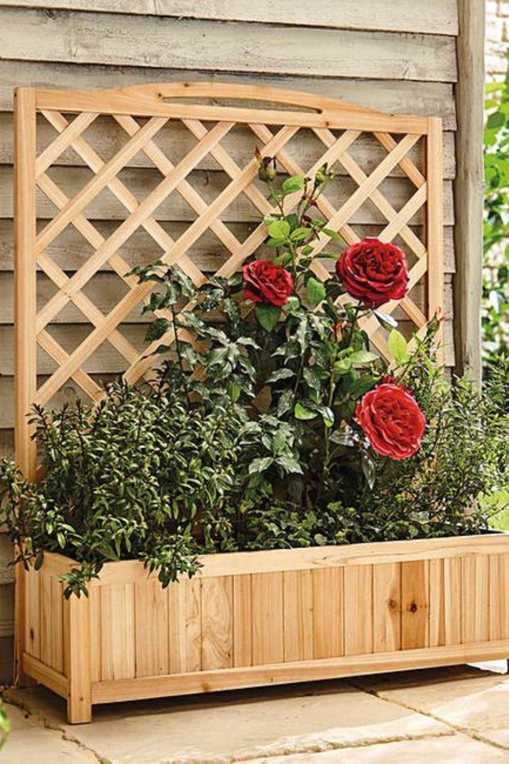 19 Upcycled Garden Trellis Ideas You Should Look SharonSable
