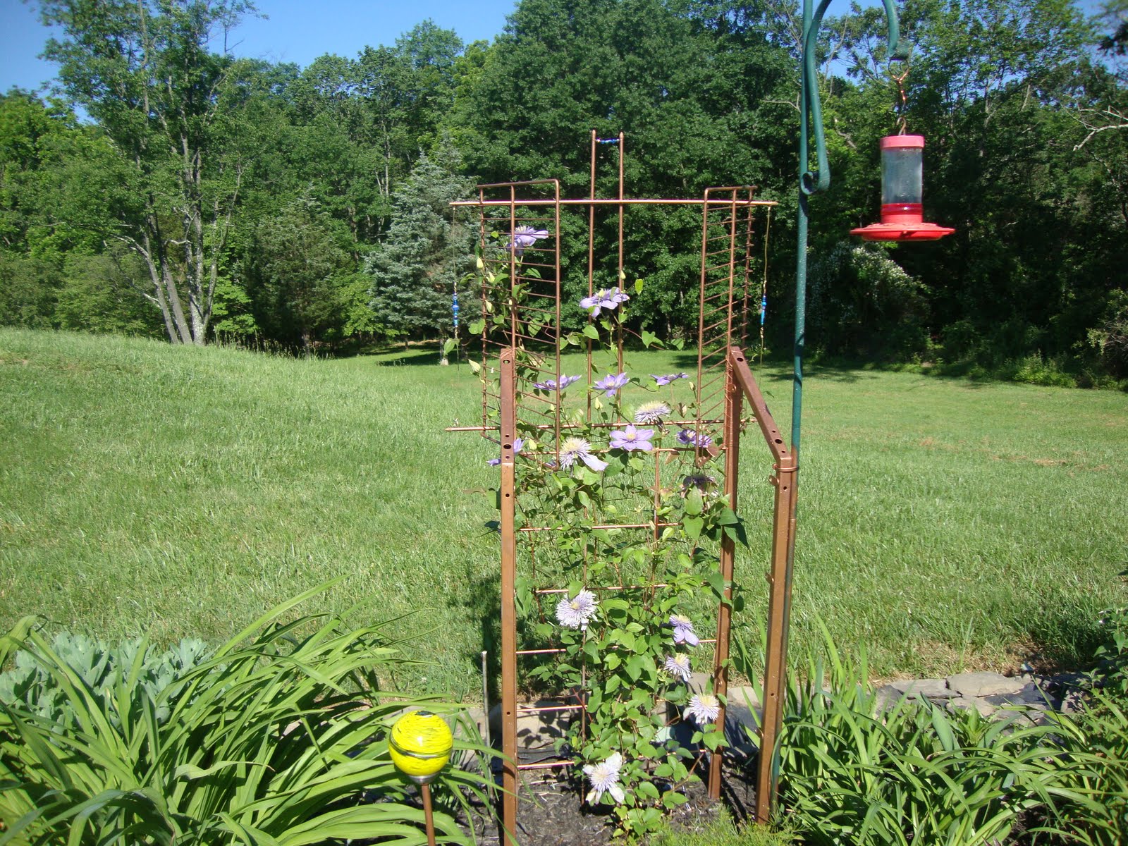 Diy Trellis