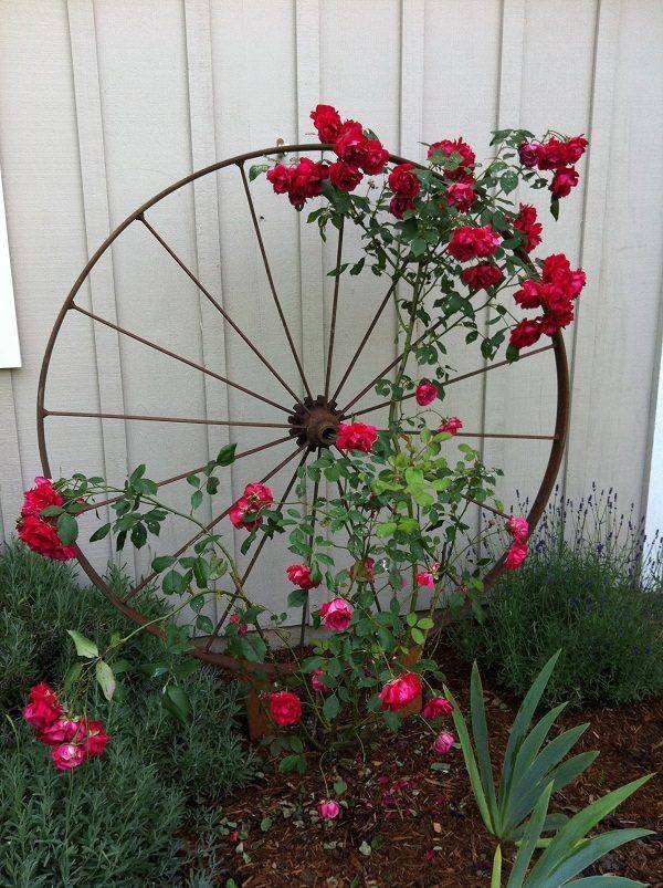 Best Upcycled Trellis Ideas For Garden Plants Gardens Diy