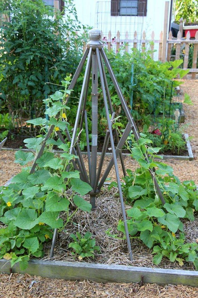 Diy Garden Trellis