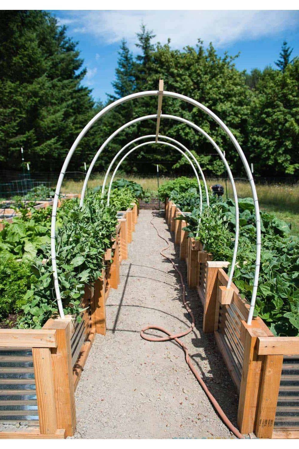 19 Upcycled Garden Trellis Ideas You Should Look SharonSable