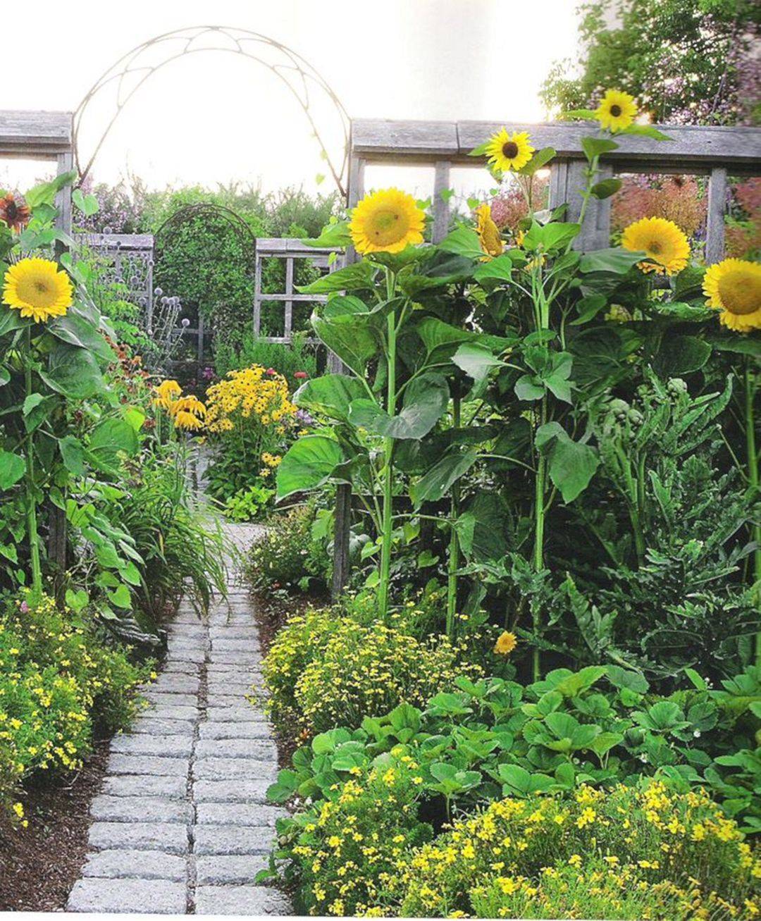 Stunning Sunflower Garden Ideas Sunflowers And Daisies Sunflower