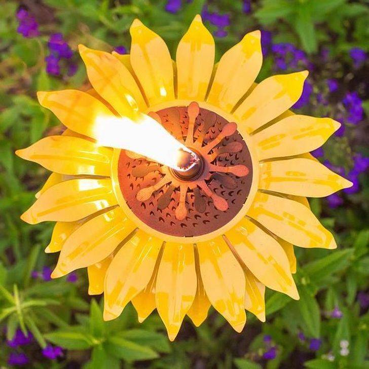 Beautiful Flowers Pictures