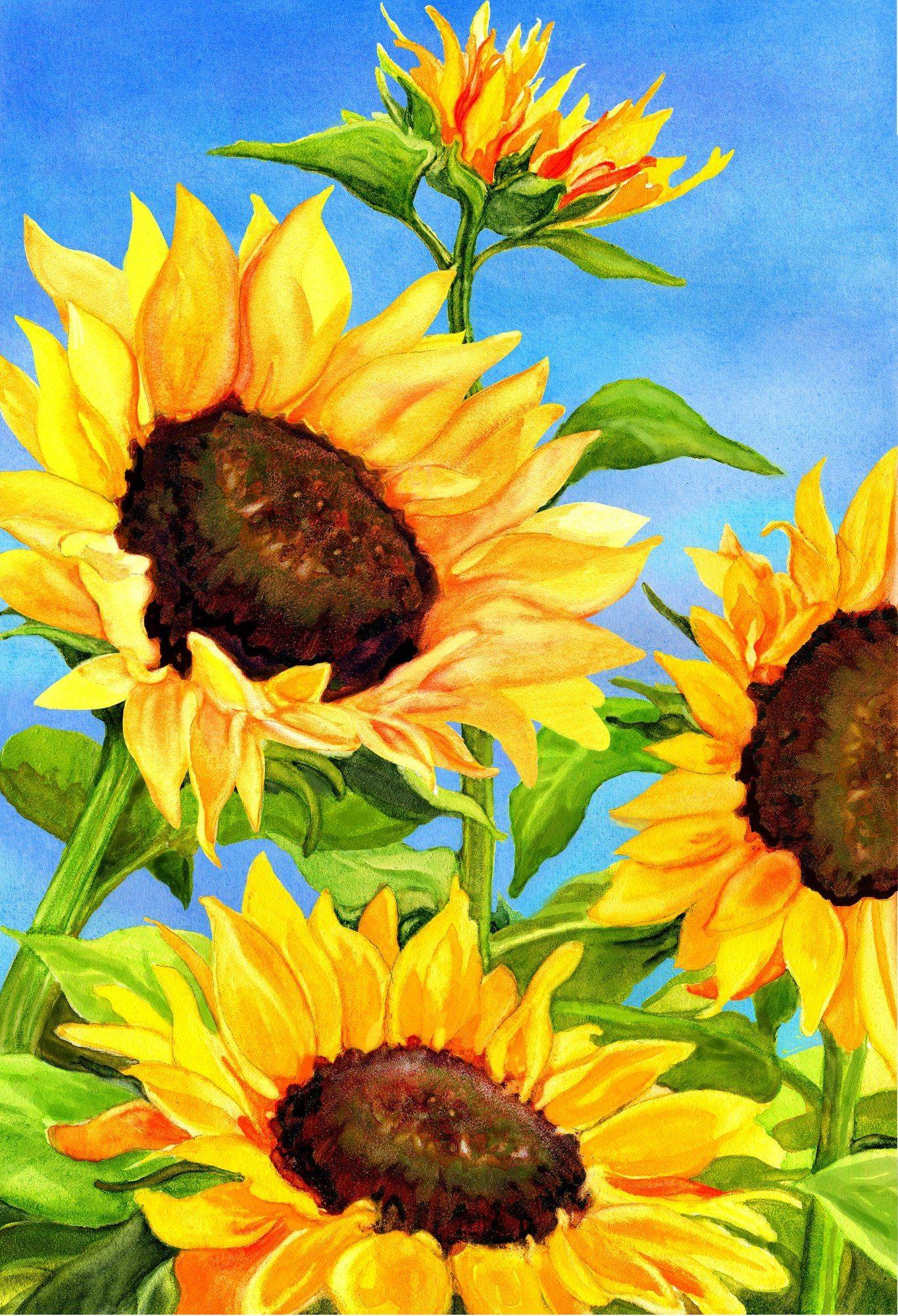 Pin On Gardening And Such