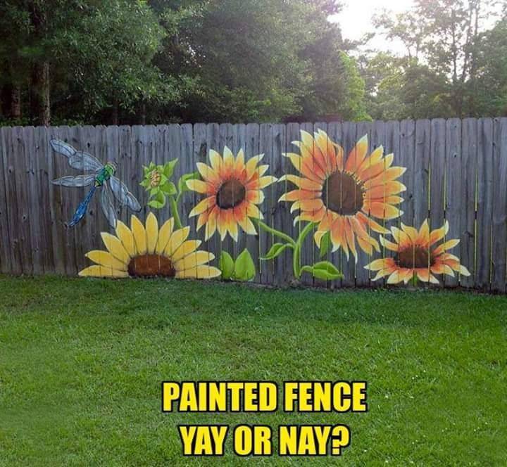 Canvas Visual Artist