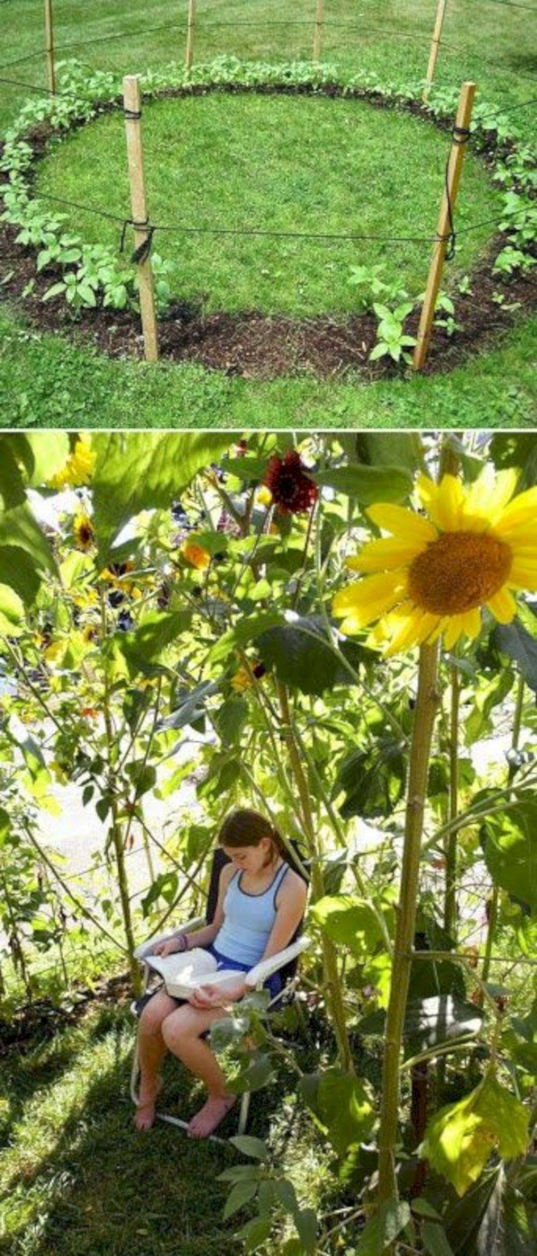 Love Garden Tabs