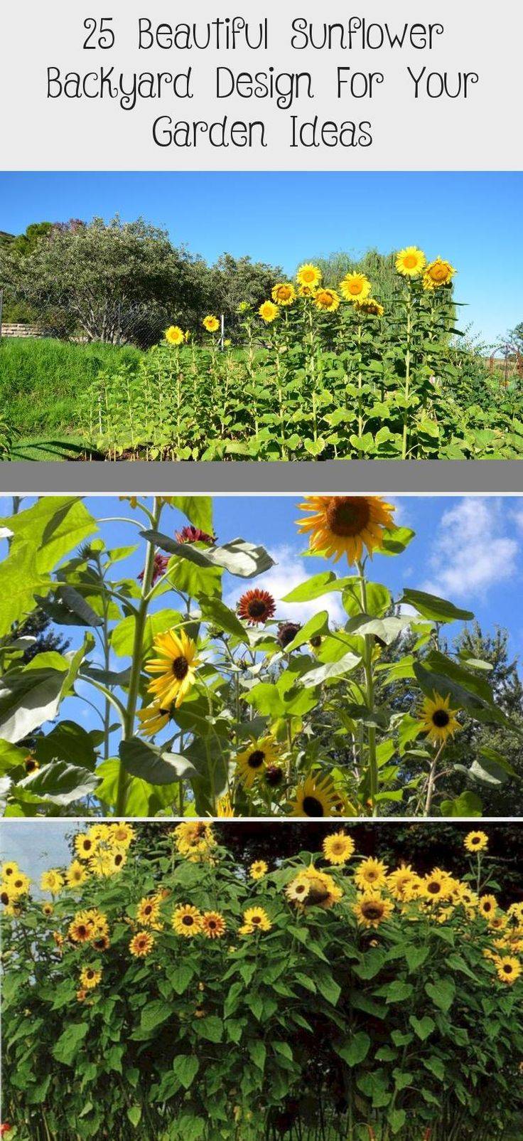 Your Garden Ideas