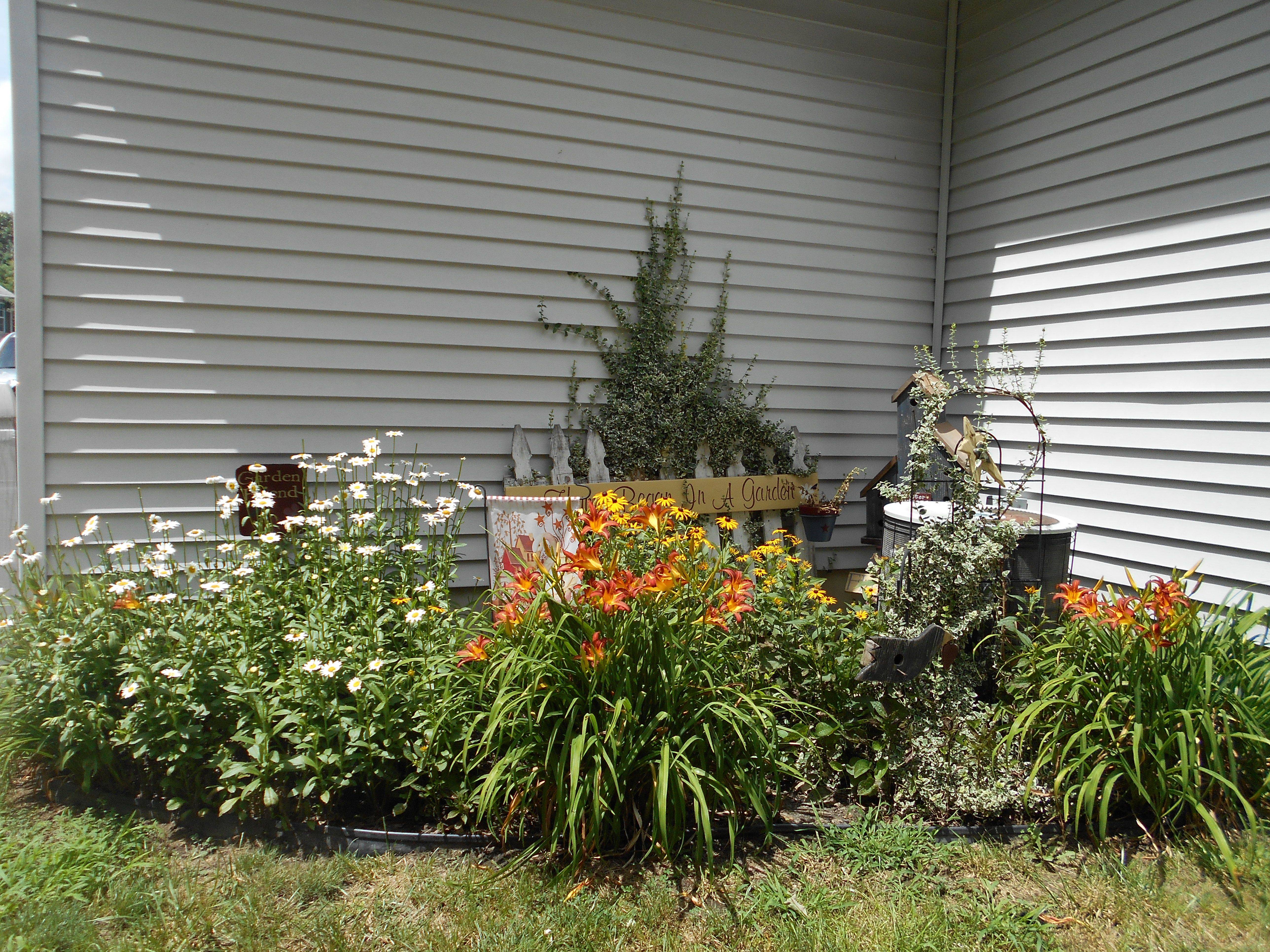 Backyard Corner Garden Ideas